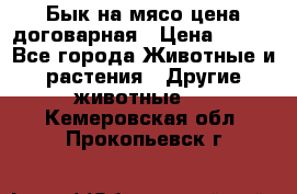 Бык на мясо цена договарная › Цена ­ 300 - Все города Животные и растения » Другие животные   . Кемеровская обл.,Прокопьевск г.